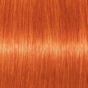 TINTE IGORA ROYAL 60ML
