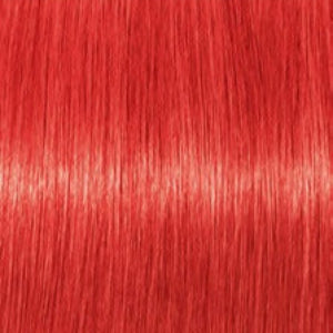 TINTE IGORA ROYAL 60ML