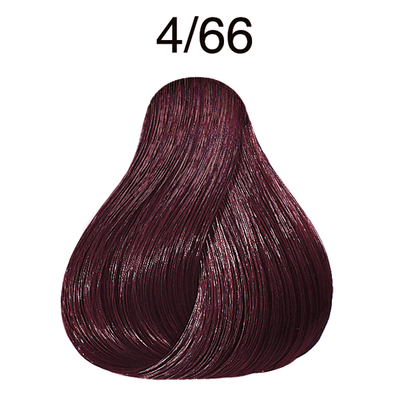 TINTE COLOR PERFECT 60ML