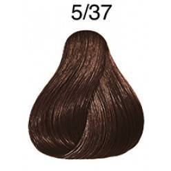 TINTE COLOR PERFECT 60ML