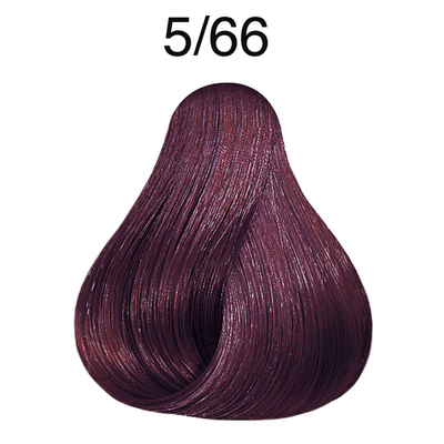 TINTE COLOR PERFECT 60ML