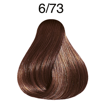 TINTE COLOR PERFECT 60ML