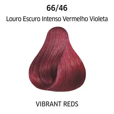 TINTE COLOR PERFECT 60ML