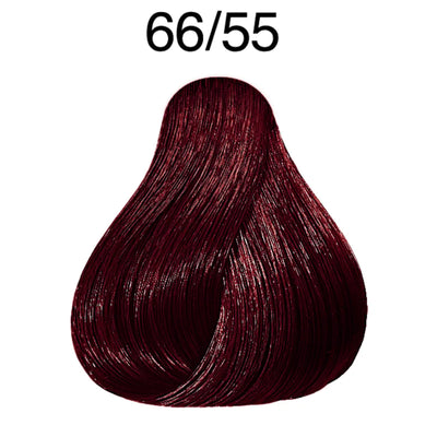 TINTE COLOR PERFECT 60ML