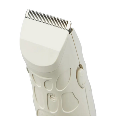 WAHL PEANUT CACAHUATE 8655