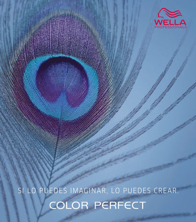 TINTE COLOR PERFECT 60ML