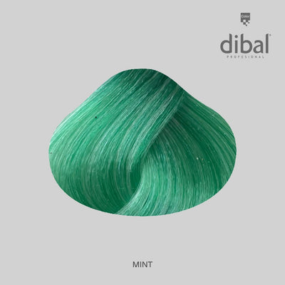 TINTE DIBAL HAIR COLOR 100G