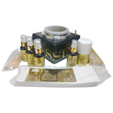 SET PASSINI GOLD WAXY PROFESIONAL 397GR