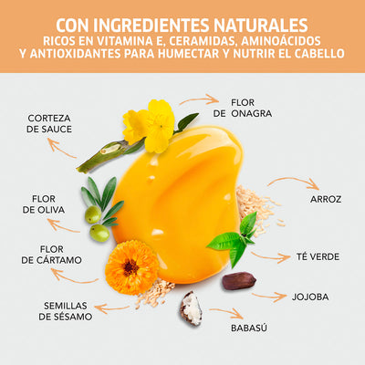 TRATAMIENTO SEBASTIAN POTION 9 150ML