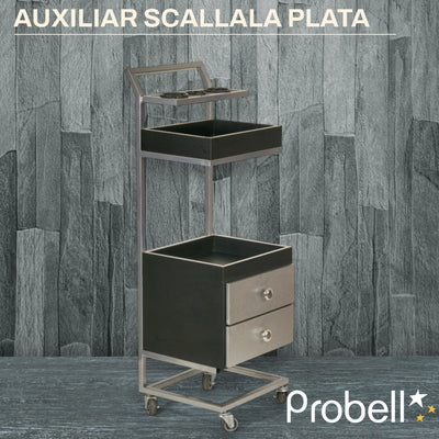 AUXILIAR SCALLALA PLATA