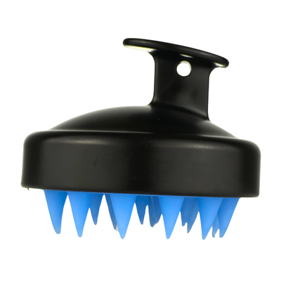 CEPILLO ACTIVADOR Q-76 NEGRO PUNTAS AZUL