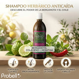 SHAMPOO CRISALDI HERBARICO BERGAMOTA 600ML
