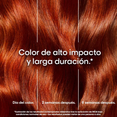 TINTE INOA 60G