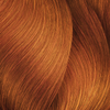 TINTE INOA 60G