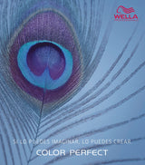 TINTE COLOR PERFECT 60ML
